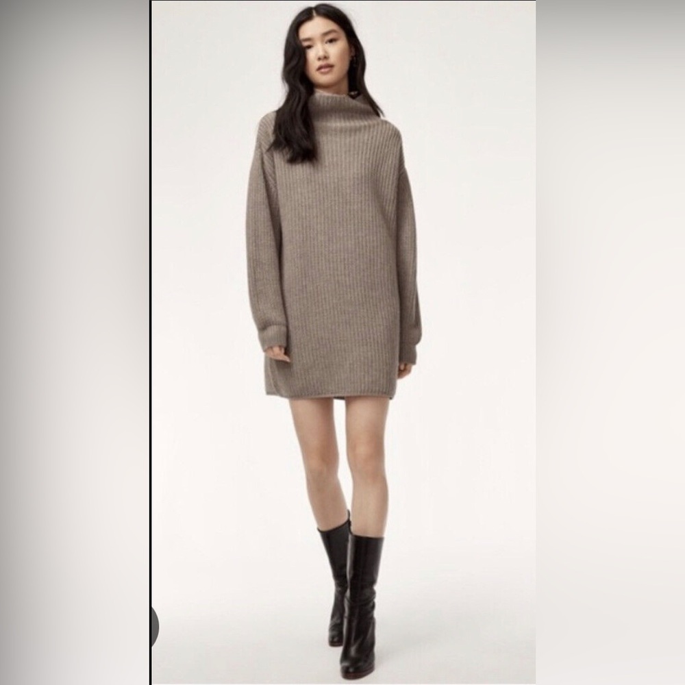 Aritzia Montpellier sweater dress